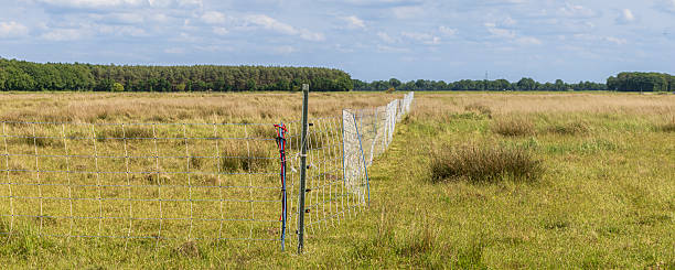 istock Wolf repellent grid at herb grass land 2231973732