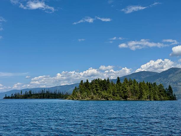 istock Bird Island on Flathead Lake 2231974718