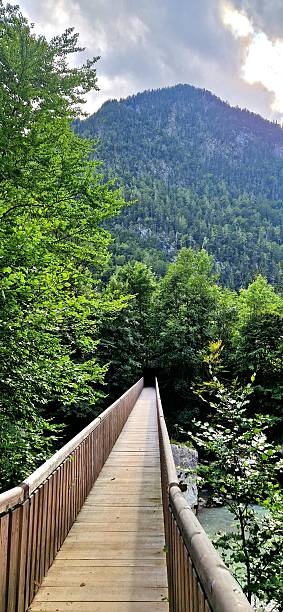 istock hiking bridge in Alps 2231982386