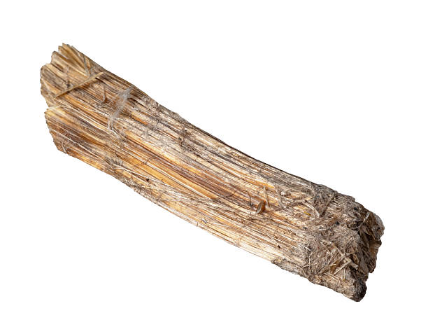 istock natural rough chrysotile asbestos mineral cutout 2231982733