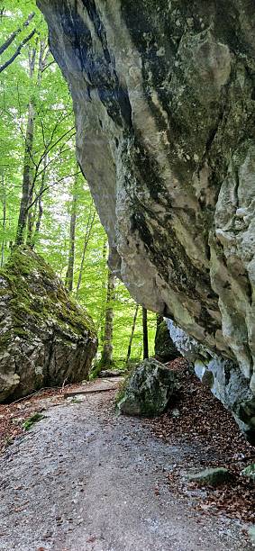 istock hiking way in Alps 2231984059