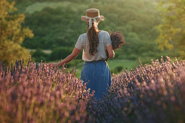 istock Woman walking through lavender fields at sunset, holding a bouquet 2231984282