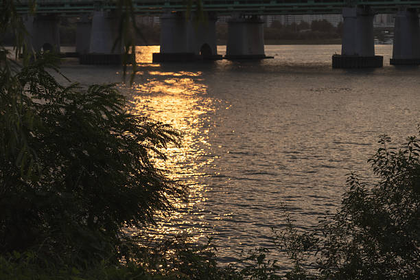 A commercial photo capturing the golden sunlight reflecting on the calm surface of the Han River as the sun sets. The image conveys a peaceful and warm atmosphere.
