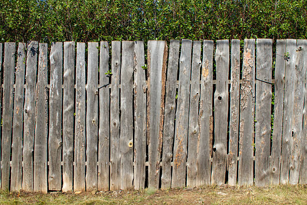istock an old wooden fence with cherry trees behind it 2231987564