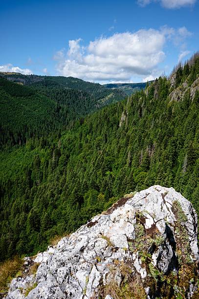 istock Scenic view of lush green forested mountains. 2231992113