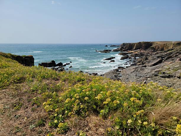 istock island of Yeu 2231993738