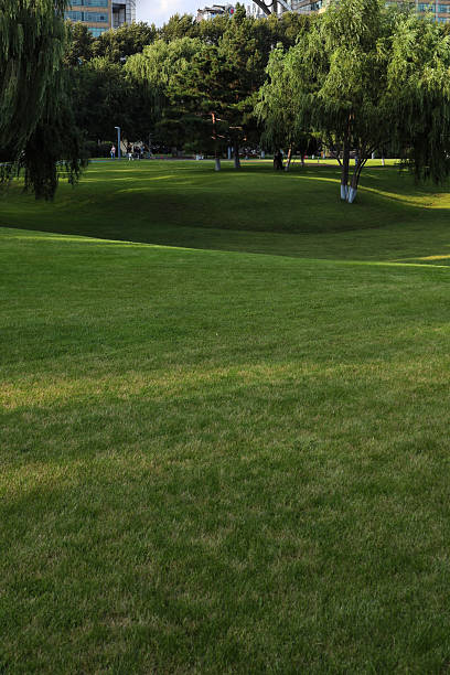 istock Harbin city park in summer, China 2231995192