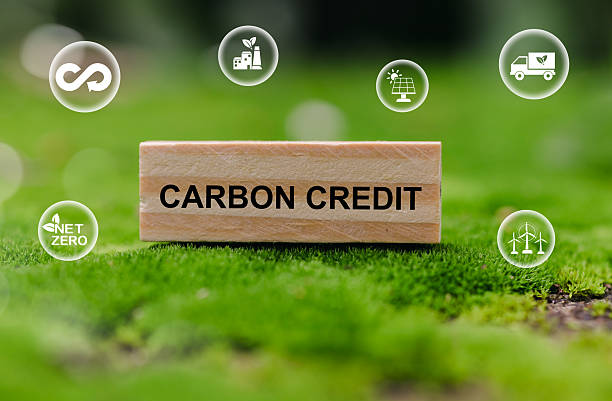 istock Carbon Credit Concept with Green Environment and Sustainable Elements 2231995228