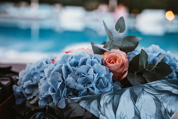 Elegant Bouquet of Blue Hydrangeas by the Poolside
