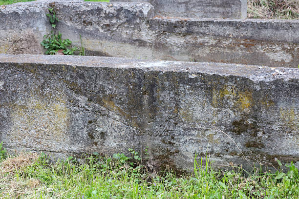 istock Old concrete blocks overgrown with moss and grass create a textured background with visible cracks, showcasing aged strength and nature's reclamation. 2232004170
