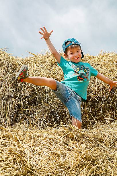 Young boy of 12 years trying to push large round hay bail across field