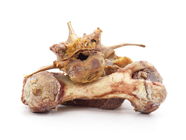 istock Pile of boiled meat bones isolated on white. 2232009868