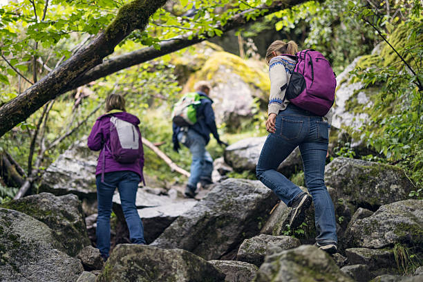 istock Three hikers on beautiful trail in a lush green forest, climbing difficult path among moss covered boulders. 2232016281