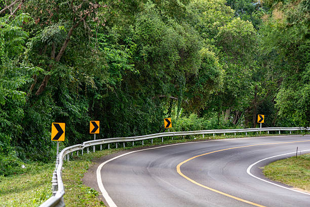 istock Winding Road through a Lush Green Forest 2232016650