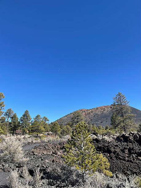 istock Sunset Crater National Monument, Arizona 2232016795