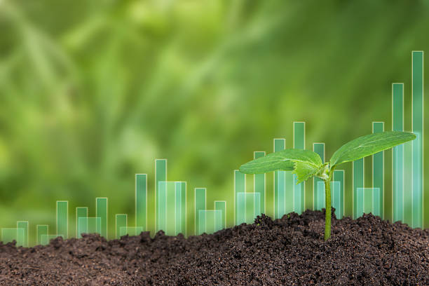 istock Seedling are growing from soil with business growth 2232017751