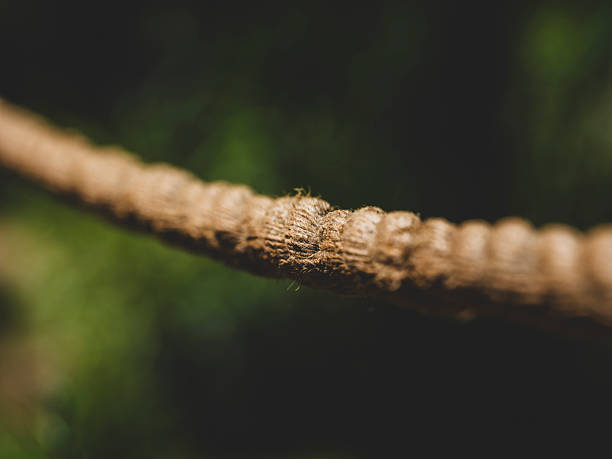 macro shot of weathered rope