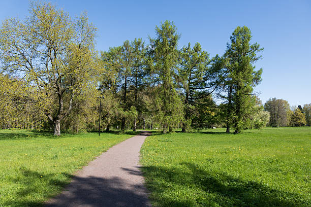 istock Kadriorg Park In Tallinn, Estonia 2232026580