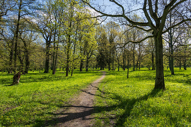 Kadriorg Park (Estonian: Kadrioru park) landscape in Tallinn, Estonia.