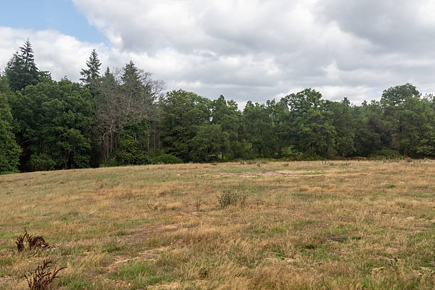 istock Yateley Common in Hampshire United Kingdom 2232033442
