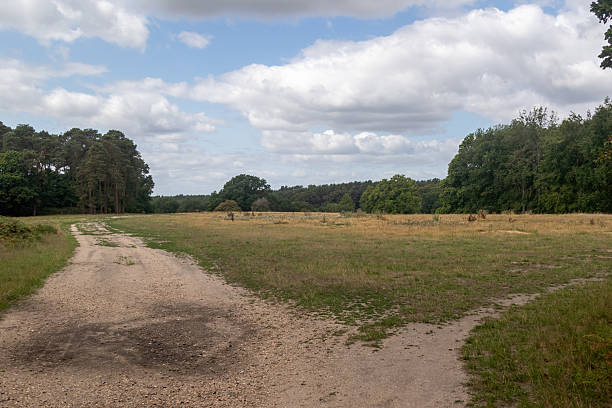 istock Yateley Common in Hampshire United Kingdom 2232034533