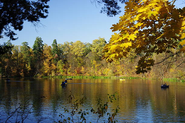 istock Pushcha-Vodytsia park clear autumn. Part two 2232040572