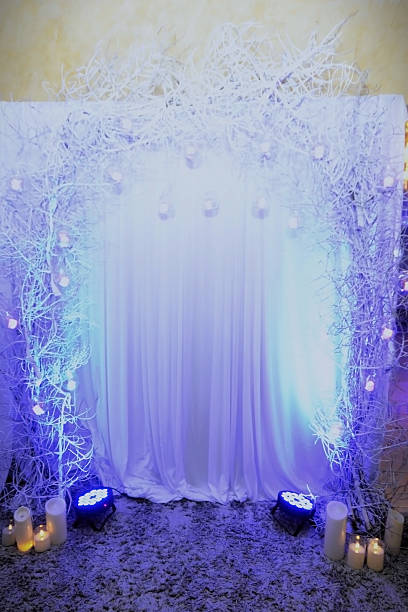istock Beautiful winter panel for birthday photos 2232046870