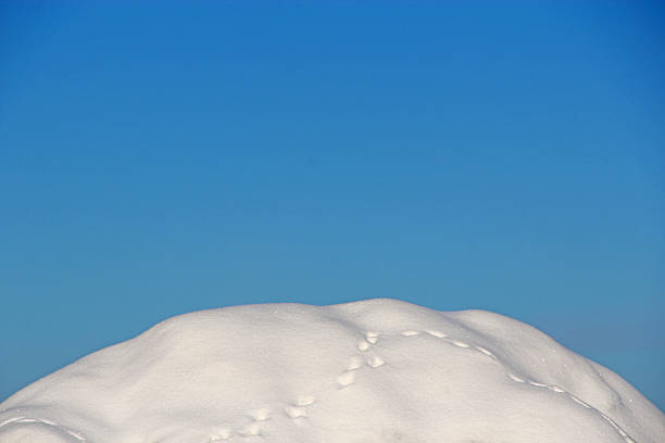 Snowy Mountain. Winter has come. Hill covered with snow. Natural landscape. Frosty weather. Snowy winter. Cold weather. Winter landscape with snow-covered mountain