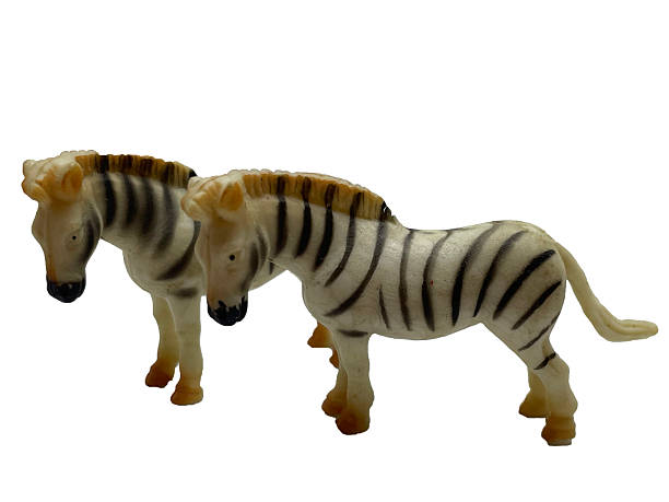 istock Two toy zebras on white background 2232057274