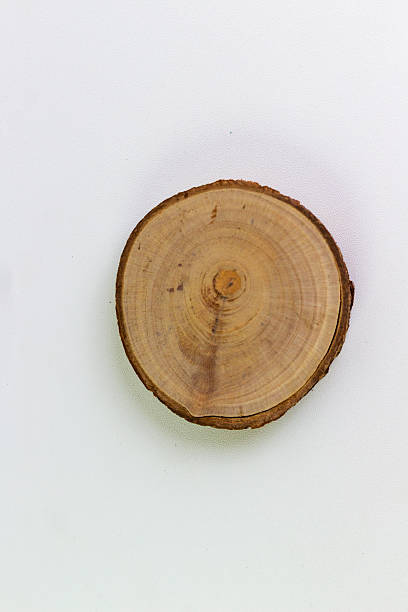 istock Close-up presents a naturally cut, round wooden disc against a plain white backdrop, highlighting the concentric rings of the tree's growth and its rustic bark edging that gives 2232058370