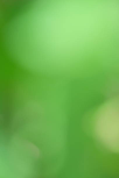 Soft green blurred background with vibrant hues creating a serene atmosphere, ideal for nature-themed designs, presentations, or calming visual experiences with copy space