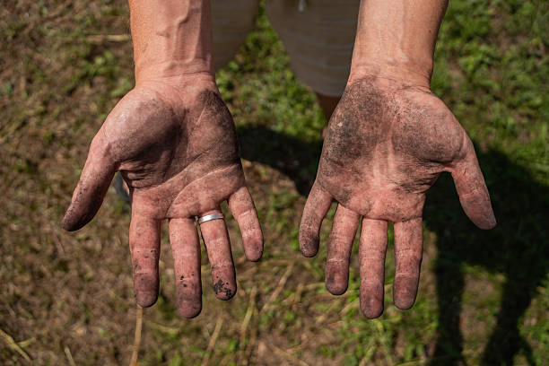 istock Hands covered in soil after gardening Horizontal 2232072488