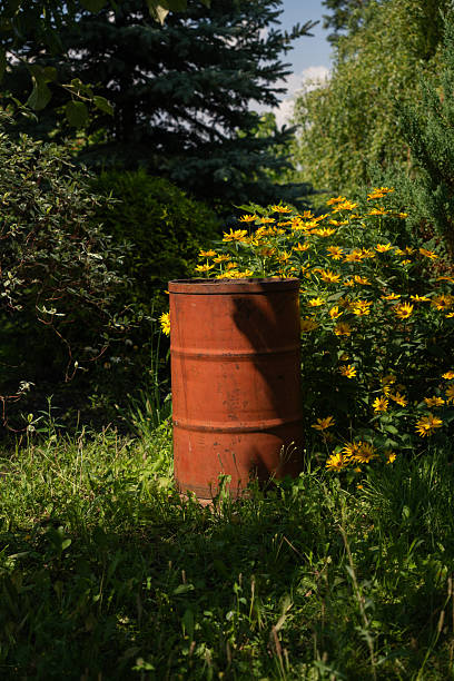 Vertical photo of an old rusted barrel partially hidden in tall grass and surrounded by vivid yellow flowers on a sunny summer day.