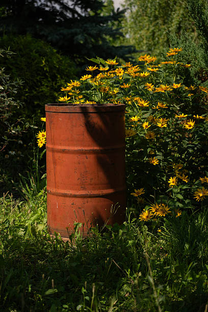 Vertical photo showing a rusty red barrel placed in green vegetation, surrounded by yellow garden flowers and tall trees in the background.