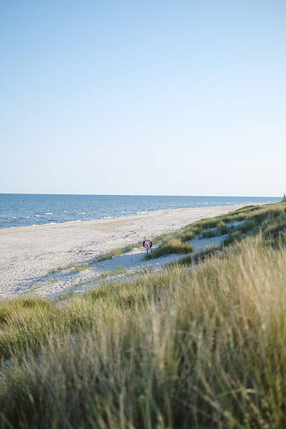 istock White sand beach, grasses and sea 2232078492
