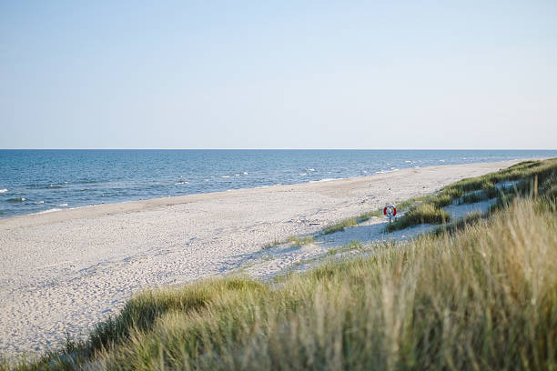 istock White sand beach, grasses and sea 2232078493
