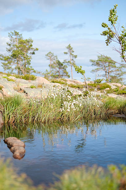 Rocky hill, trees and lake, High Coast/Hoga Kusten