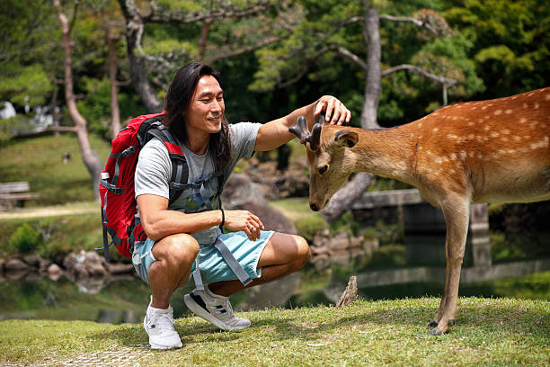 Man petting deer at Nara Park