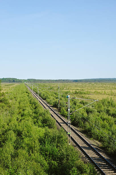 Aerial view of train tracks over bog, Store Mosse National Park