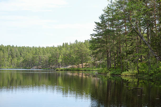 istock Lake, forest and rocky shoreline 2232079866