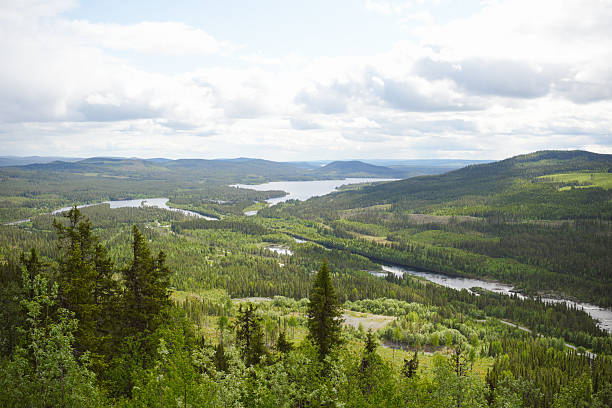 Aerial view of forest and river, The Wilderness Road, Vildmarksvagen
