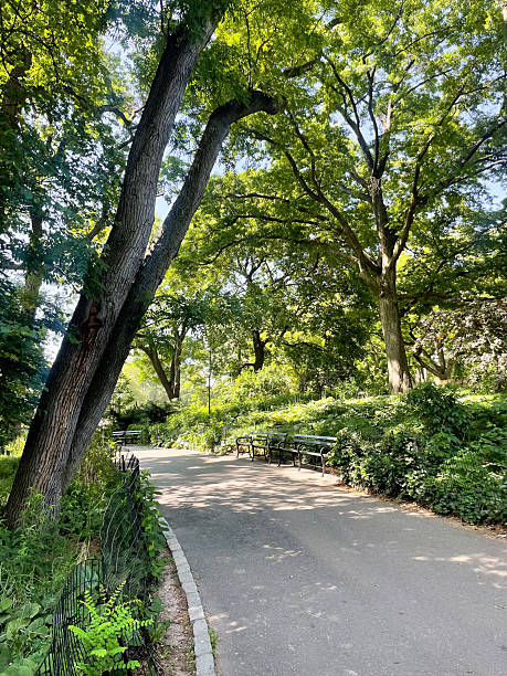 istock Walking and biking path in New York City park 2232088519