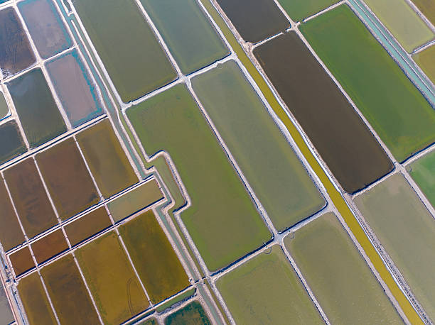 istock View of the salt field 2232099430