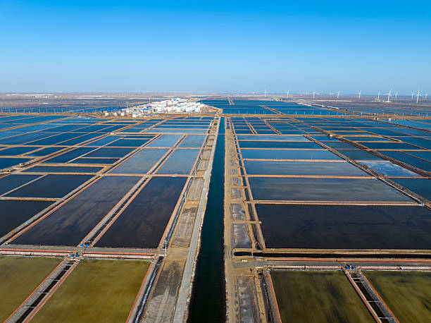 istock View of the salt field 2232099433