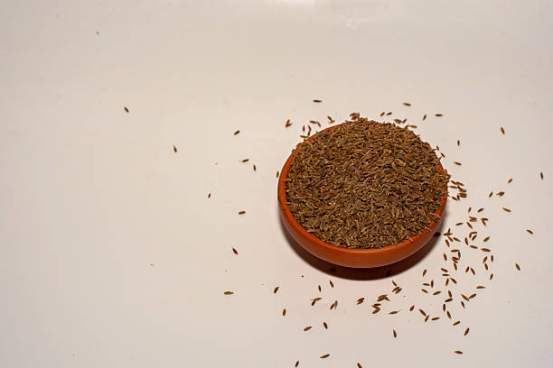 A bowl filled with organic whole cumin seeds, known as jeera, on clean white background with copy space. Symbol of spice, Ayurveda, health, cooking, and Indian culinary tradition.