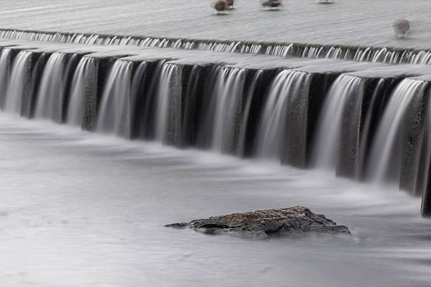 Soft-motion long exposure of man-made weir cascade with smooth blurred water and repeating falls, solitary dark rock in the foreground, neutral grey tones, overcast riverbank close-up