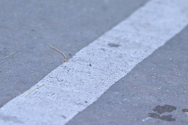 White lines on the road, trees, and sidewalk