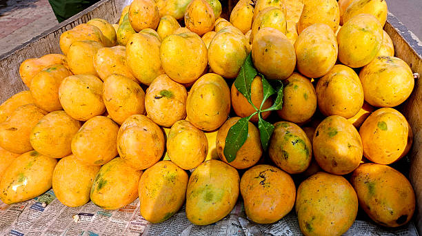 istock Fresh Ripe Mangoes on Display for sell in India 2232115877