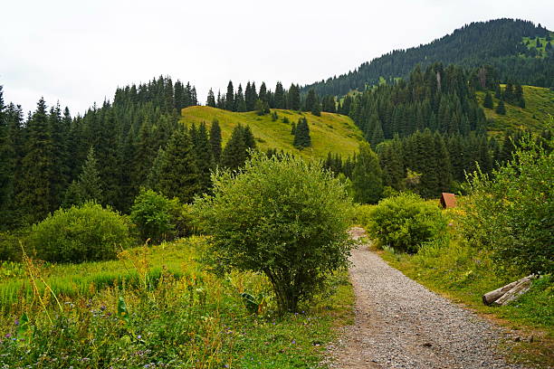istock National Nature Park. Mountainous area with different vegetation.  Cloudy, raining. 2232122887