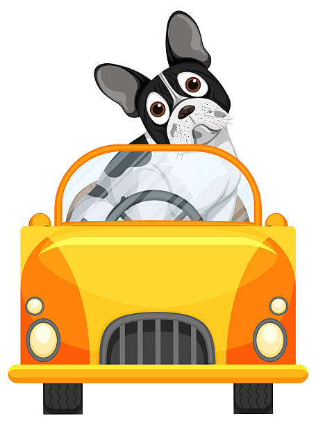 istock French Bulldog Driving Yellow Convertible Car Illustration 2232123164